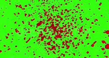 数字动画红玫瑰花瓣在绿色屏幕上的旋涡中飞舞，颜色关键背景淡出，循环无缝